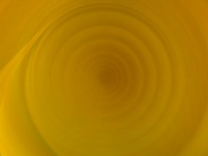 人才招聘