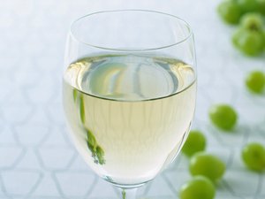 订阅制